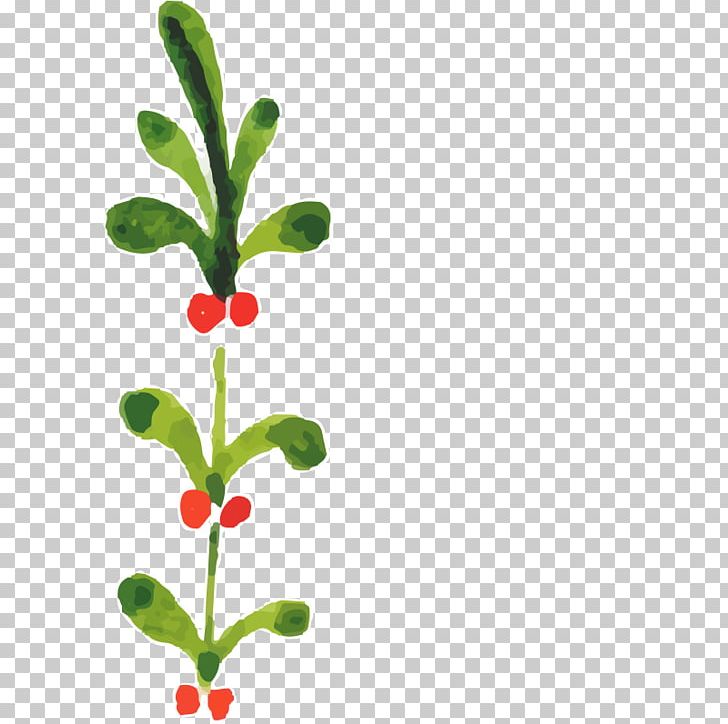 Watercolor Painting Christmas Plants PNG, Clipart, Branch, Christmas, Christmas Card, Christmas Tree, Effect Free PNG Download