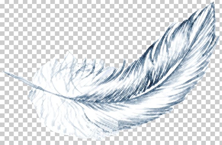 Feather Drawing /m/02csf Beak Line PNG, Clipart, Animals, Beak, Bird, Black And White, Drawing Free PNG Download