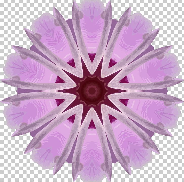 Flower Transvaal Daisy PNG, Clipart, Cut Flowers, Flower, Fuchsia, Kaleidoscope, Lilac Free PNG Download