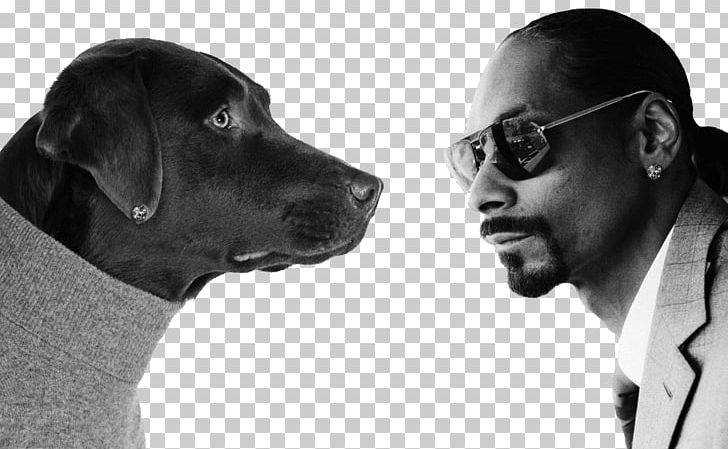 Snoop Dogg Malice N Wonderland Doggystyle Hip Hop Music PNG, Clipart, Album, Black And White, Bush, Celebrities, Communication Free PNG Download