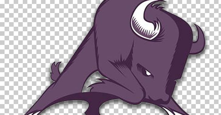 Sunset High School National Secondary School W. H. Adamson High School Bison PNG, Clipart,  Free PNG Download