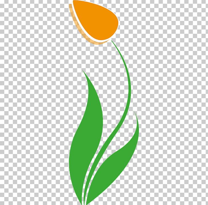 Tulip Flower PNG, Clipart, Area, Artwork, Bloom, Blossom, Brand Free PNG Download