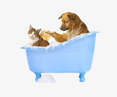 Two Animals In The Bath PNG, Clipart, Animals Clipart, Animals Clipart, Bath Clipart, Bath Clipart, Bathtub Free PNG Download