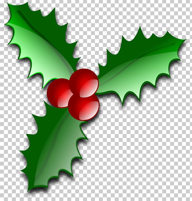 Common Holly Christmas American Holly PNG, Clipart, Aquifoliaceae, Aquifoliales, Banner, Christmas, Christmas Clip Art Free PNG Download