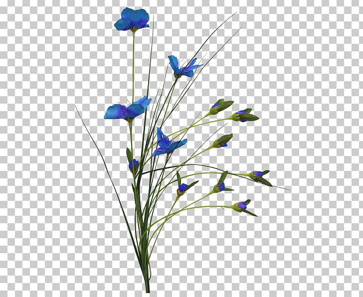 Cut Flowers PNG, Clipart, Bellflower Family, Blog, Computer Icons, Cut Flowers, Flora Free PNG Download