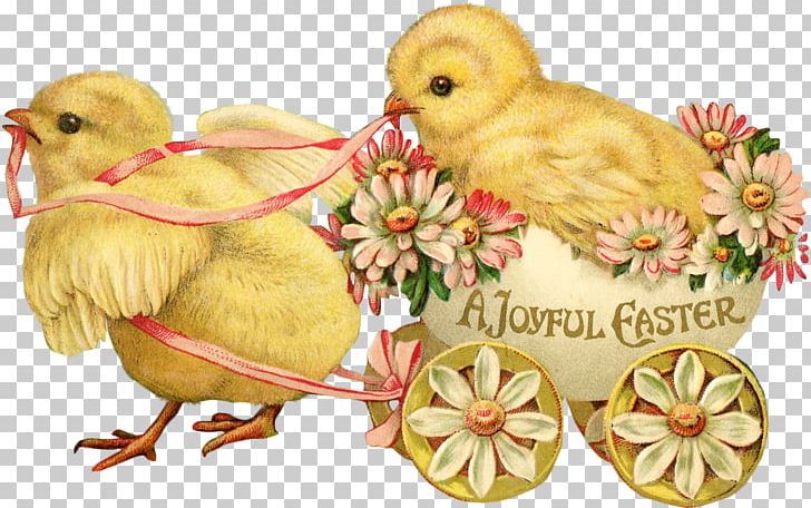 Easter Bunny Easter Postcard Greeting Card PNG, Clipart, Animal, Animals, Beak, Cartoon Chick, Chick Free PNG Download