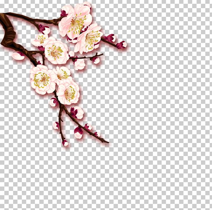 Plum Blossom PNG, Clipart, Abstract Pattern, Adobe Illustrator, Blossom, Body Jewelry, Encapsulated Postscript Free PNG Download