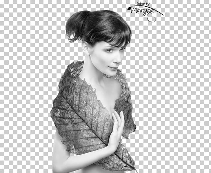 Painting French Prints Photography Autumn PNG, Clipart, Autumn, Black And White, Brown Hair, Flatcast, Flatcast Tema Free PNG Download