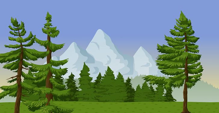 Pine Mountain Tree PNG, Clipart, Biome, Branch, Computer Wallpaper, Conifer, Conifers Free PNG Download