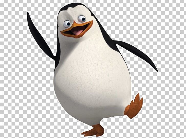 Penguin Kowalski Skipper Madagascar Bird PNG, Clipart, Animaatio, Animals, Animated Series, Beak, Bird Free PNG Download