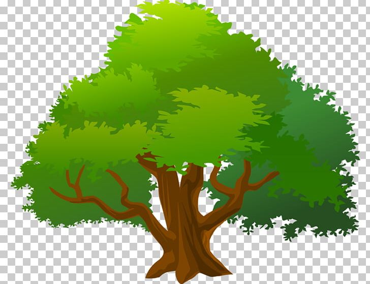 Tree PNG, Clipart, Biome, Branch, Cartoon, Computer Icons, Computer Wallpaper Free PNG Download