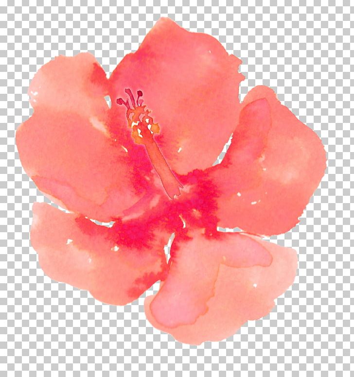 Watercolor Painting PNG, Clipart, China Rose, Decoration, Digital Painting, Flower, Flower Decoration Free PNG Download