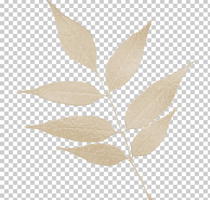Leaf Home Page PNG, Clipart, Ash, Blog, Branch, Couture, Home Page Free PNG Download