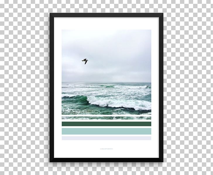 Frames Poster Photography PNG, Clipart, Beach, Color, Distillation, Mirror, Ocean Free PNG Download