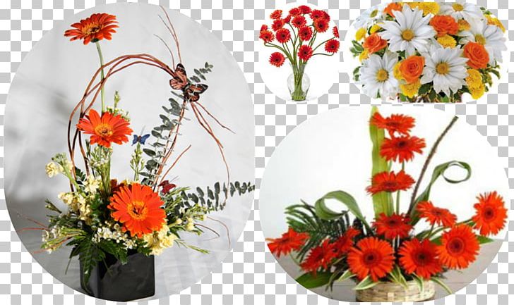Transvaal Daisy Floral Design Cut Flowers Flower Bouquet PNG, Clipart, Artificial Flower, Cut Flowers, Daisy Family, Flora, Floral Design Free PNG Download