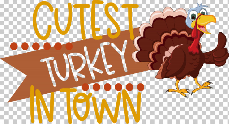 Cutest Turkey Thanksgiving Turkey PNG, Clipart, Beak, Biology, Birds, Cartoon, Chicken Free PNG Download