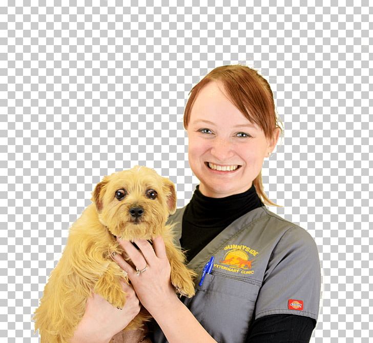 Dog Breed Norfolk Terrier Puppy Veterinarian Paraveterinary Worker PNG, Clipart, Academic Degree, Animal, Animals, Associate Degree, Carnivoran Free PNG Download