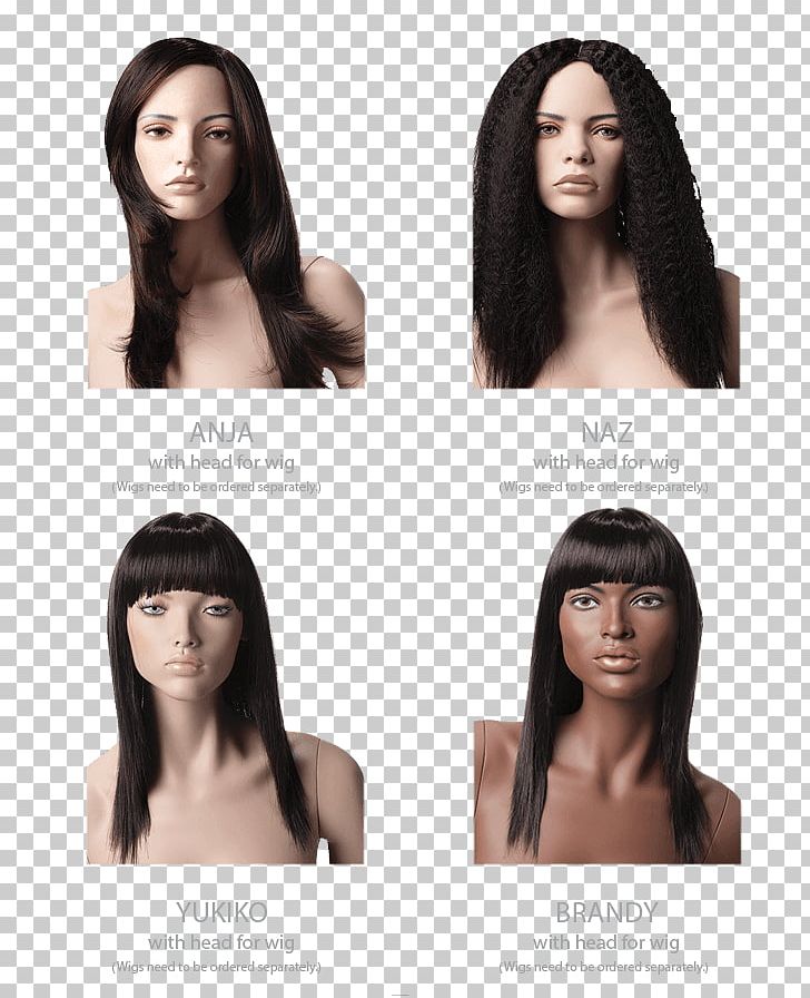 Hair Coloring Homo Sapiens Chin PNG, Clipart, Black Hair, Brown Hair, Chin, Hair, Hair Coloring Free PNG Download