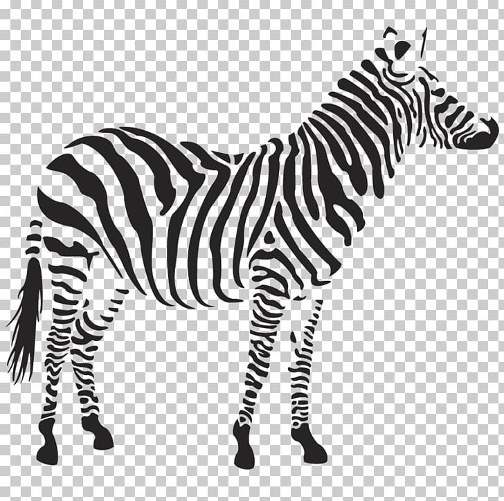 Zebra Png Clipart Animals Black And White Design Desktop