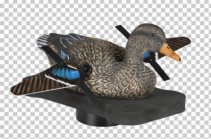 Duck Mallard Bird Goose Decoy PNG, Clipart, Anatidae, Animals, Anseriformes, Beak, Bird Free PNG Download