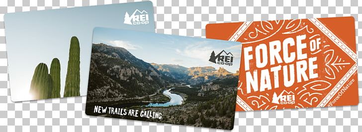 Gift Card REI Outdoor Recreation Credit Card PNG, Clipart, Advertising, Brand, Card, Cheque, Chromecast Free PNG Download
