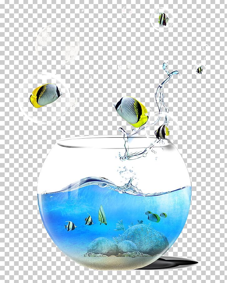 Goldfish Aquarium Water PNG, Clipart, Aquarium Fish, Blue, Blue Hawaii, Blue Lagoon, Carassius Auratus Free PNG Download