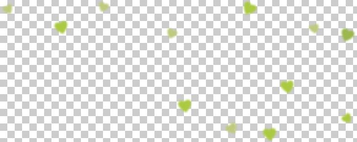 Leaf Plant Stem Petal PNG, Clipart, Atmosphere, Blank, Blur, Branch, Canvas Free PNG Download