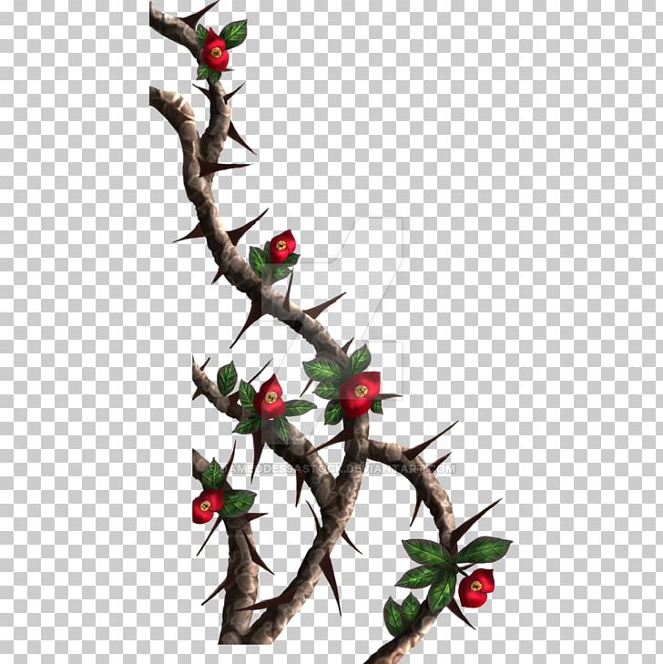 Thorns PNG, Clipart, Aquifoliaceae, Aquifoliales, Art, Branch, Christmas Free PNG Download