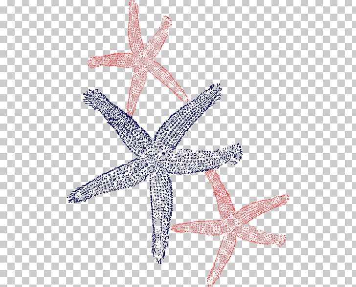 Starfish Portable Network Graphics Computer Icons PNG, Clipart, Animal, Computer Icons, Drawing, Echinoderm, Hawaii Posters Free PNG Download