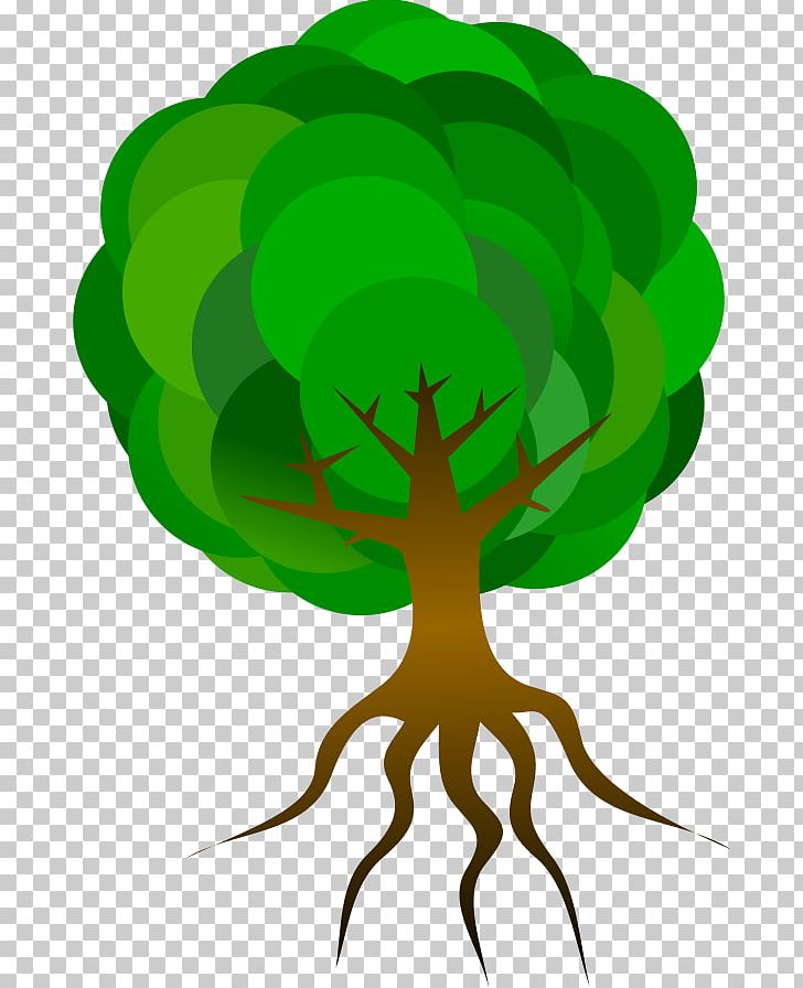Tree Root PNG, Clipart, Branch, Cartoon, Drawing, Fictional Character, Flowering Plant Free PNG Download