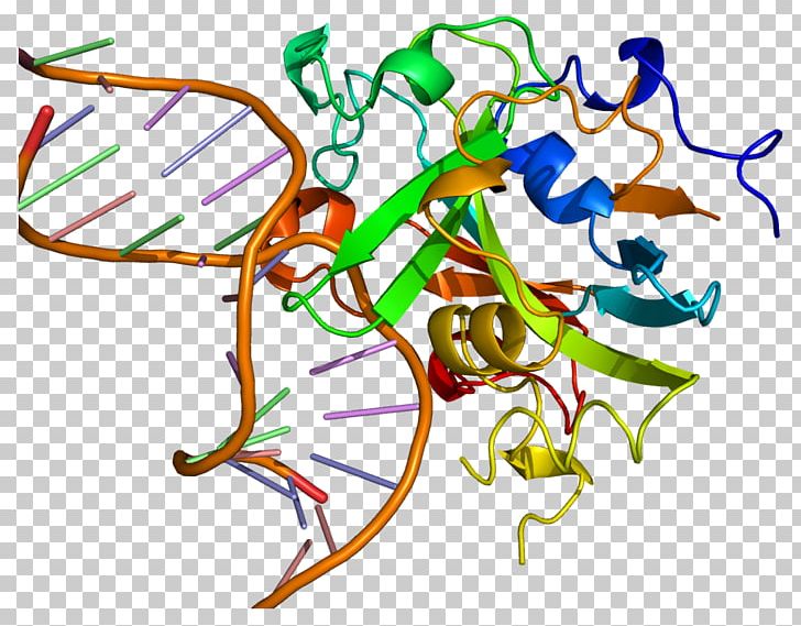 Uracil-DNA Glycosylase DNA-3-methyladenine Glycosylase Gene PNG, Clipart, Adenine, Alkylation, Area, Art, Artwork Free PNG Download