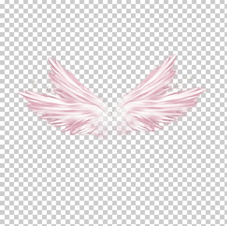 Wing Elements PNG, Clipart, 1000000, Angel Wing, Angel Wings, Chicken Wings, Clip Free PNG Download