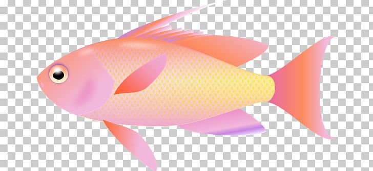 Desktop Fish PNG, Clipart, Animals, Background, Computer Icons, Desktop Wallpaper, Fin Free PNG Download