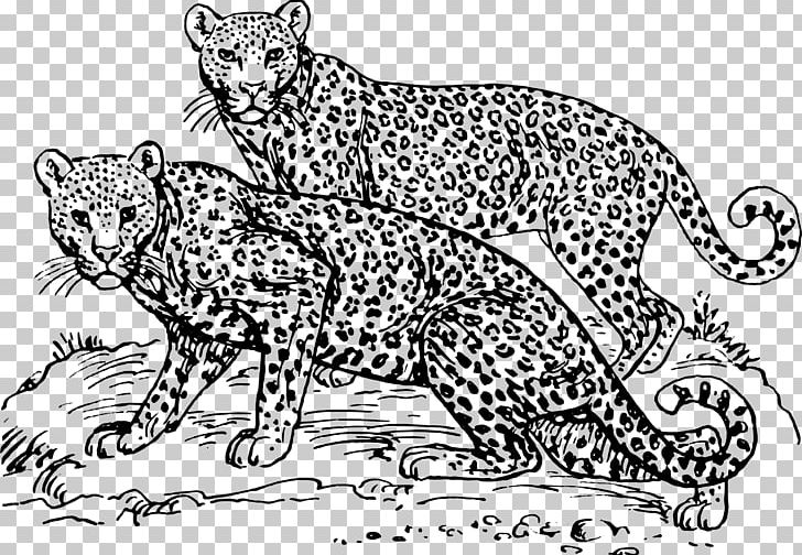 Felidae Amur Leopard PNG, Clipart, Animal, Animal Figure, Art, Big Cats, Black And White Free PNG Download