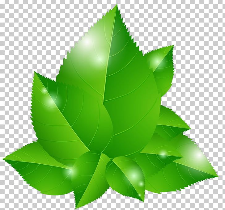 Green Euclidean Leaf Blue Illustration PNG, Clipart, Autumn Leaves, Background Green, Computer Wallpaper, Desktop Wallpaper, Euclidean Vector Free PNG Download