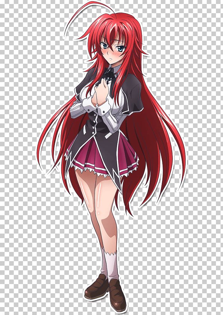 Rias Gremory High School DxD 12: Heroes Of Tutoring Character PNG, Clipart, Anime, Black Hair, Brown Hair, Cg Artwork, Costume Free PNG Download