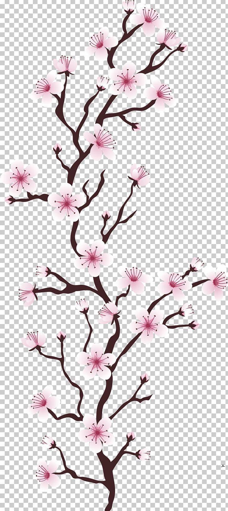 Cherry Blossom Flower Tree Euclidean Cerasus PNG, Clipart, Blossom, Blossoms, Blossoms Vector, Branch, Branches Free PNG Download