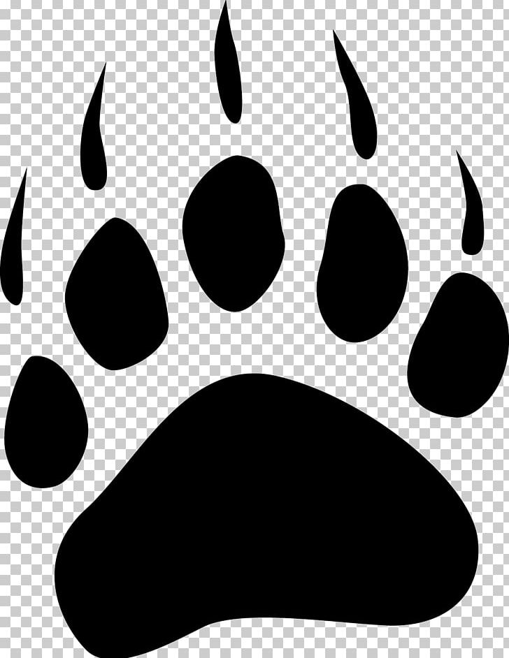 Dog American Black Bear Polar Bear Bear Claw PNG, Clipart, American Black Bear, Animal Track, Bear, Bear Claw, Black Free PNG Download