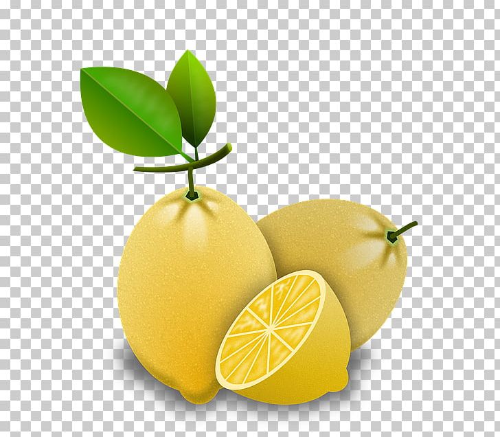 Lemon Key Lime Persian Lime PNG, Clipart, Citric Acid, Citron, Citrus, Food, Fruit Free PNG Download