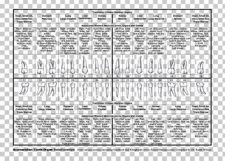 Document Drawing Detoxification Philosophy /m/02csf PNG, Clipart, Area, Black And White, Cancer, Detoxification, Diagram Free PNG Download