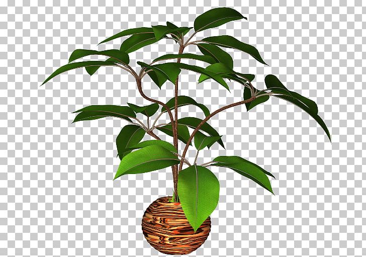 Flowerpot Plant PNG, Clipart, Digital Image, Download, Encapsulated Postscript, Flower, Flowerpot Free PNG Download