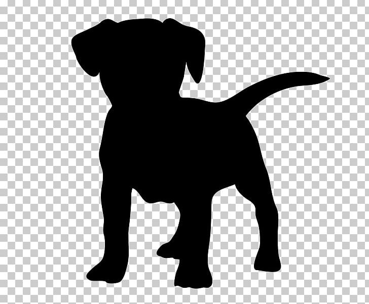 Jack Russell Terrier Puppy Cat Pet PNG, Clipart, Animals, Black, Black And White, Carnivoran, Cat Free PNG Download