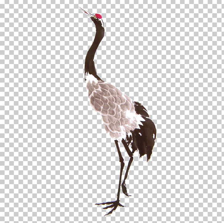 Red-crowned Crane Gongbi Grey Crowned Crane PNG, Clipart, Beak, Bird, Birdandflower Painting, Chinese Painting, Crane Free PNG Download