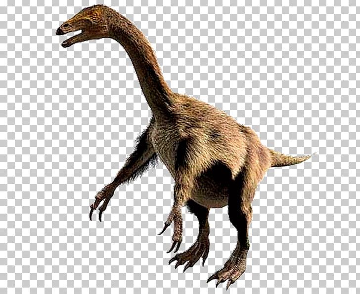 Allosaurus Nothronychus Ankylosaurus Zuniceratops Tyrannosaurus PNG, Clipart, Allosaurus, Ankylosaurus, Camara, Ceratosaurus, Coelurosauria Free PNG Download