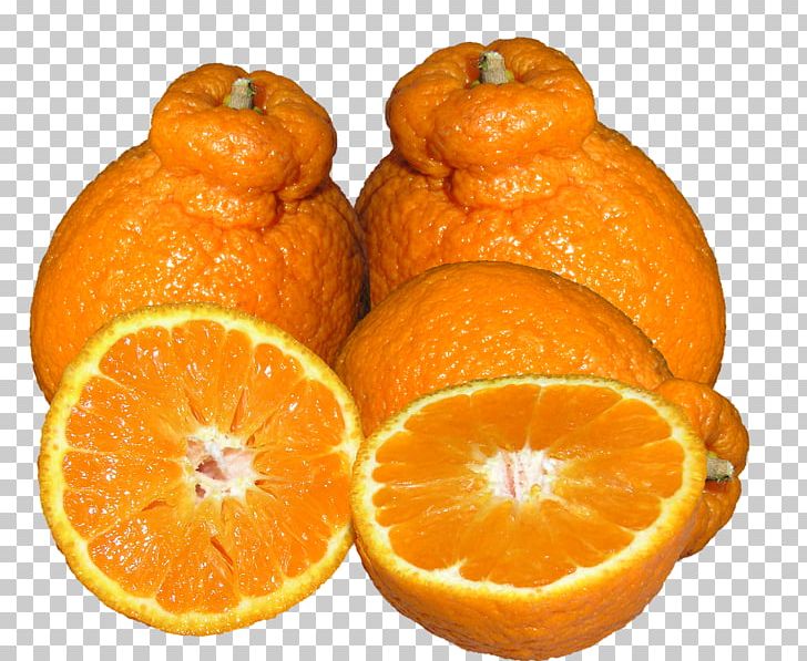 Mandarin Orange Tangerine Tangelo Rangpur Clementine PNG, Clipart, Auglis, Bitter Orange, Blood Orange, Chenpi, Citric Acid Free PNG Download