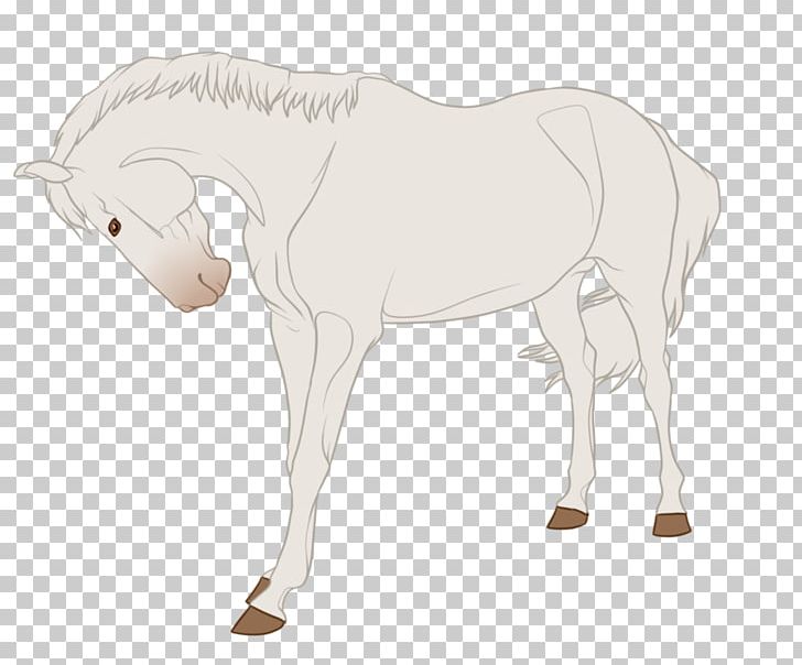 Mule Foal Stallion Halter Mare PNG, Clipart, Animal, Animal Figure, Brid, Character, Colt Free PNG Download