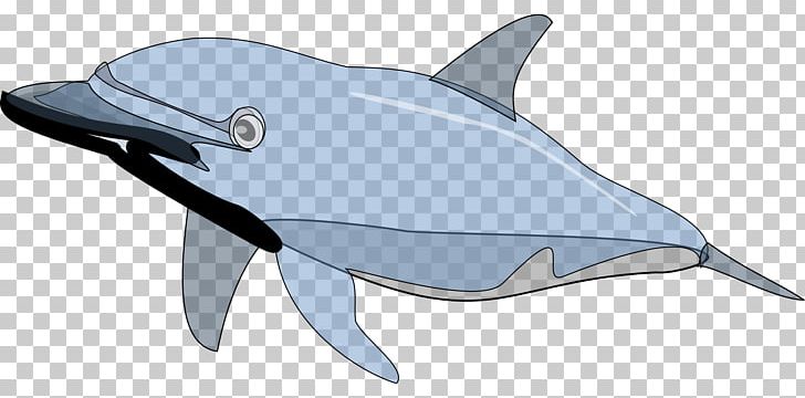 Bottlenose Dolphin PNG, Clipart, Animals, Automotive Design, Cetacea, Common Bottlenose Dolphin, Computer Icons Free PNG Download