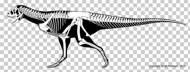 Carnotaurus Tyrannosaurus Xenotarsosaurus Majungasaurus Late Cretaceous PNG, Clipart, Abelisaur, Abelisauridae, Animal Figure, Aucasaurus, Black And White Free PNG Download