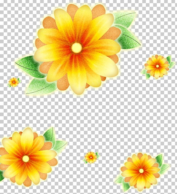 Common Sunflower Poster PNG, Clipart, Annual Plant, Calendula, Chrysanths, Common Sunflower, Cut Flowers Free PNG Download