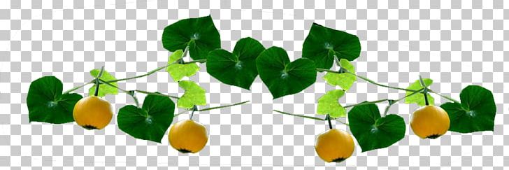 Lemon Pear Food Fruit PNG, Clipart, Apple Pears, Citrus, Decoration, Designer, Download Free PNG Download